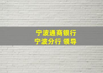 宁波通商银行宁波分行 领导